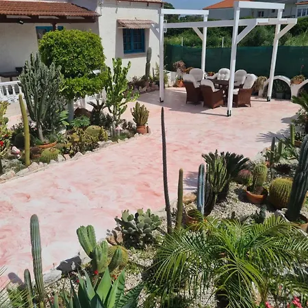 Appartamento Cactus Living Ialysos (Rhodes)