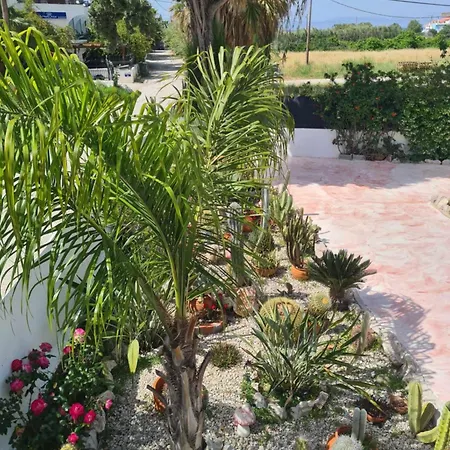 Cactus Living Ialysos (Rhodes)
