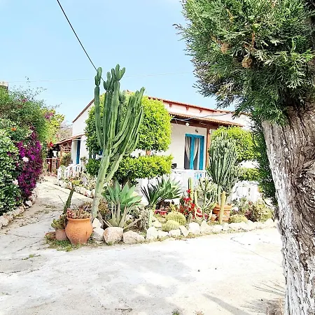 Διαμέρισμα Cactus Living *